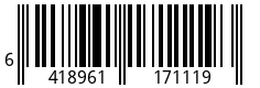 6418961171119